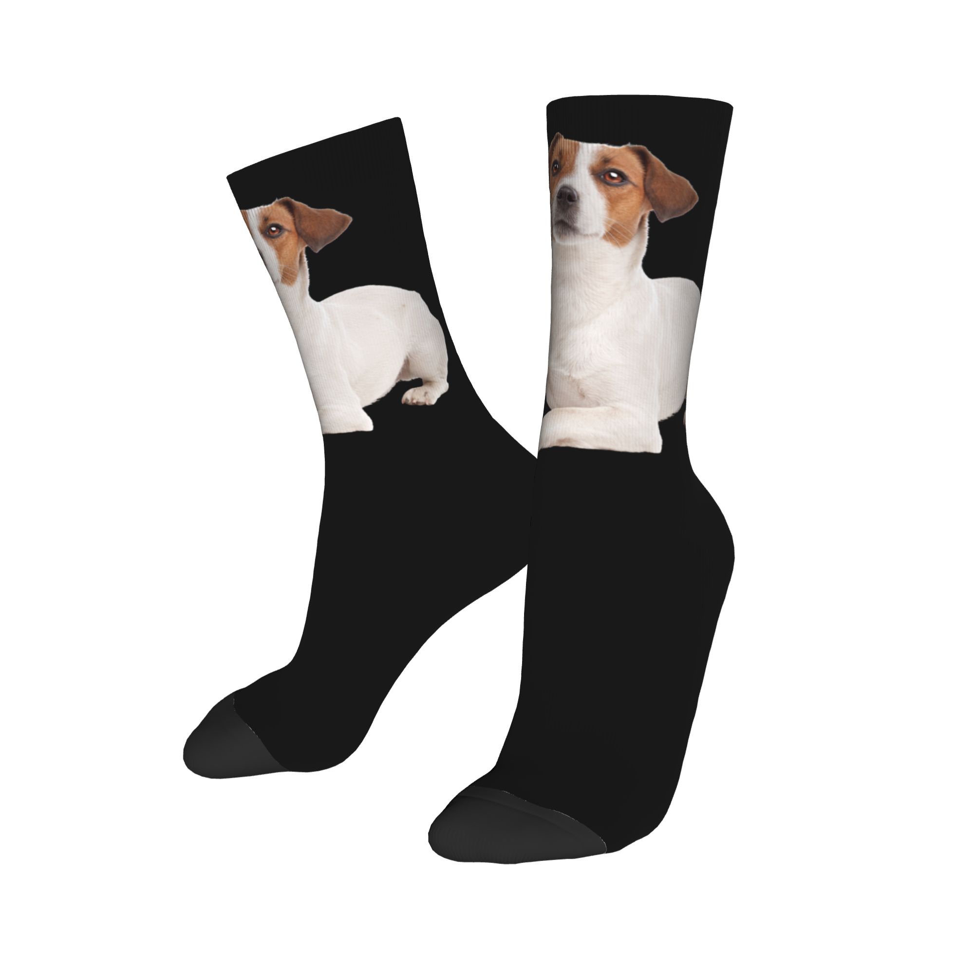 Custom Jack Russell Terrier Do - Dress Sock Men review and price